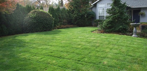 Admirable Landscapes provides lawn maintenance services that include lawn mowing and edging – both hard and soft. We aim to keep your lawn healthy and beautiful.